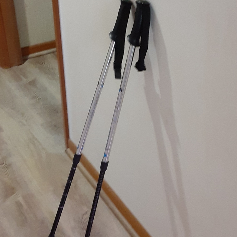 Hiking Sticks - TWO
